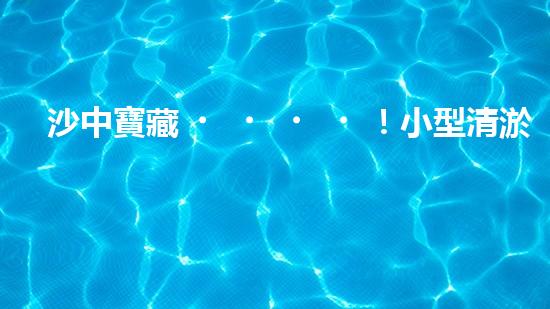 沙中寶藏！小型清淤抽沙工程設備揭秘，隱藏的財富就在這里？